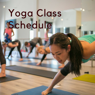 Ashtanga Yoga beginners courses and classes in Adelaide